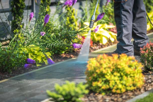 Boling, TX  Pressure Washing Services Company