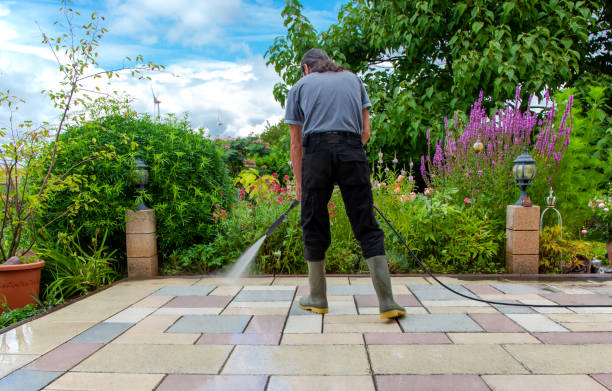 Best Fence Cleaning  in Boling, TX